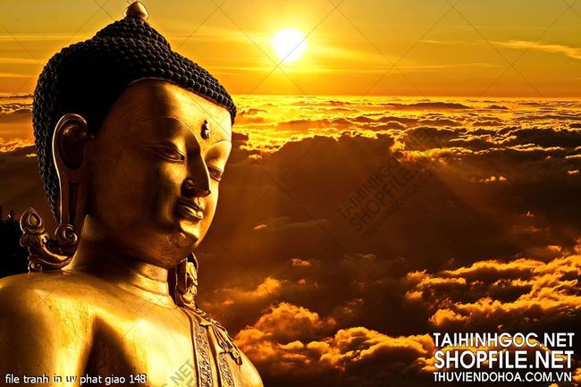 file tranh in uv phat giao 148