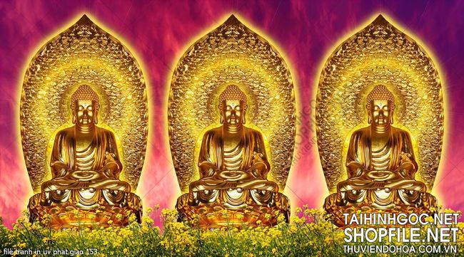file tranh in uv phat giao 153