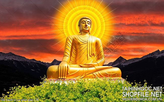 file tranh in uv phat giao 176