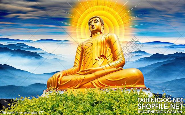 file tranh in uv phat giao 177