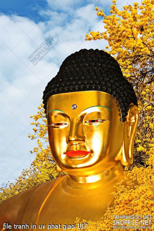 file tranh in uv phat giao 187