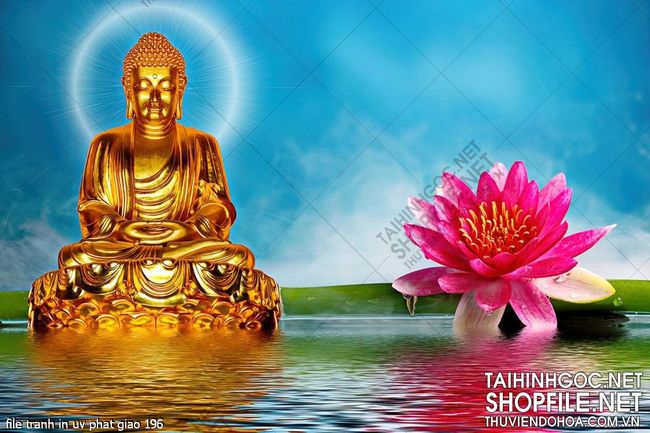 file tranh in uv phat giao 196