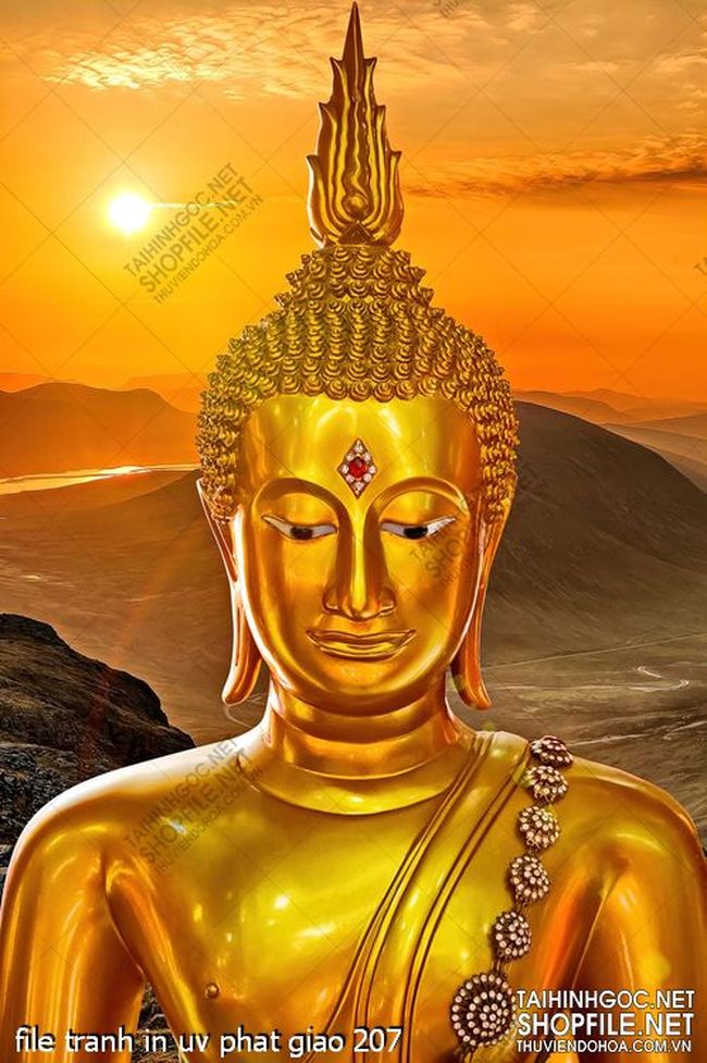 file tranh in uv phat giao 207