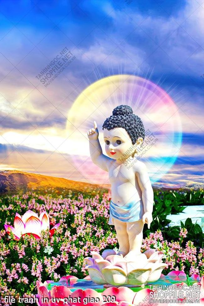 file tranh in uv phat giao 209