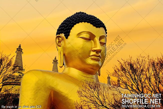 file tranh in uv phat giao 213