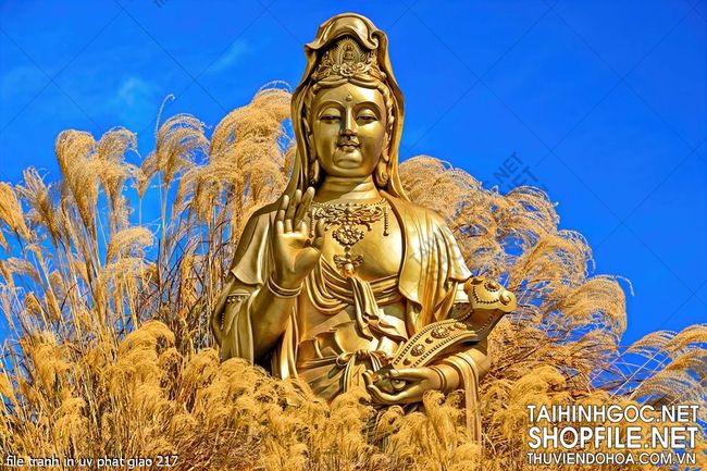 file tranh in uv phat giao 217