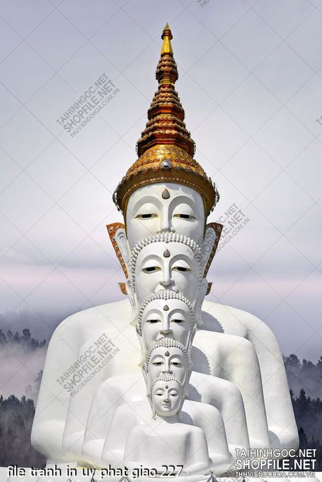 file tranh in uv phat giao 227