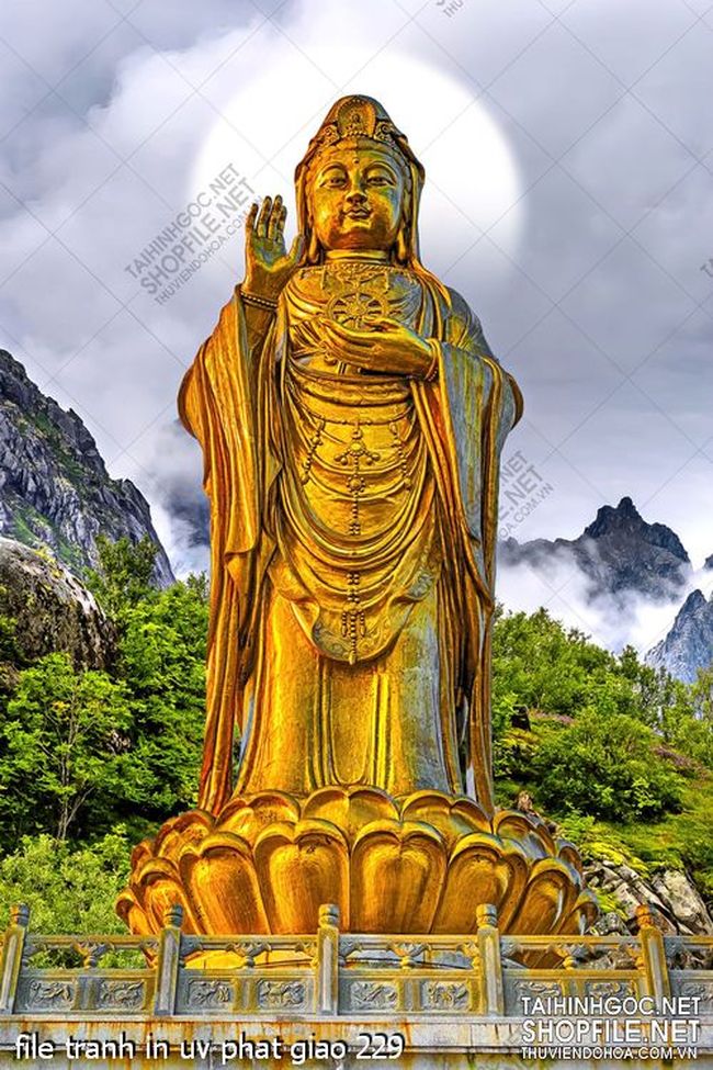 file tranh in uv phat giao 229