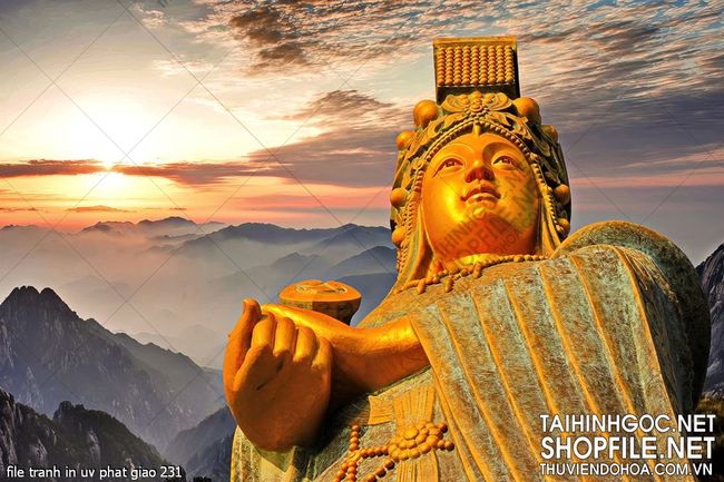 file tranh in uv phat giao 231