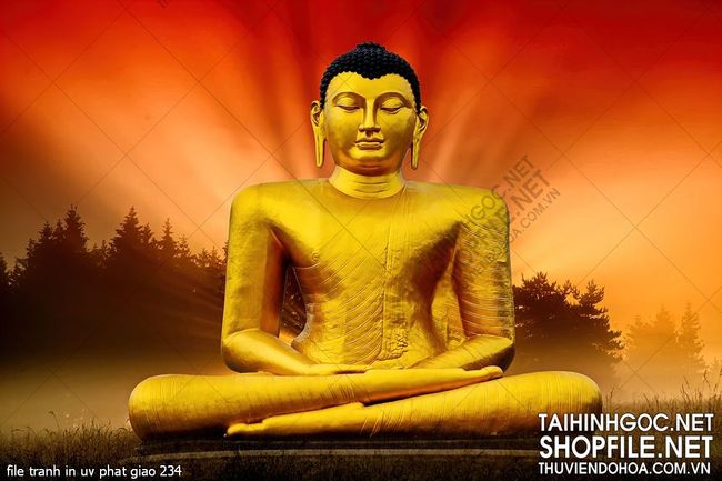 file tranh in uv phat giao 234