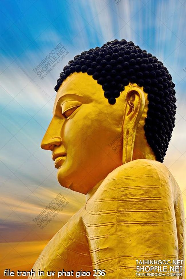 file tranh in uv phat giao 236