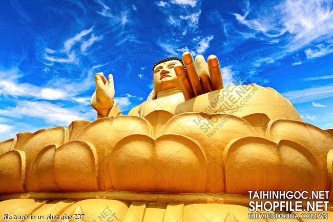 file tranh in uv phat giao 237