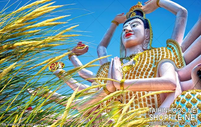 file tranh in uv phat giao 244