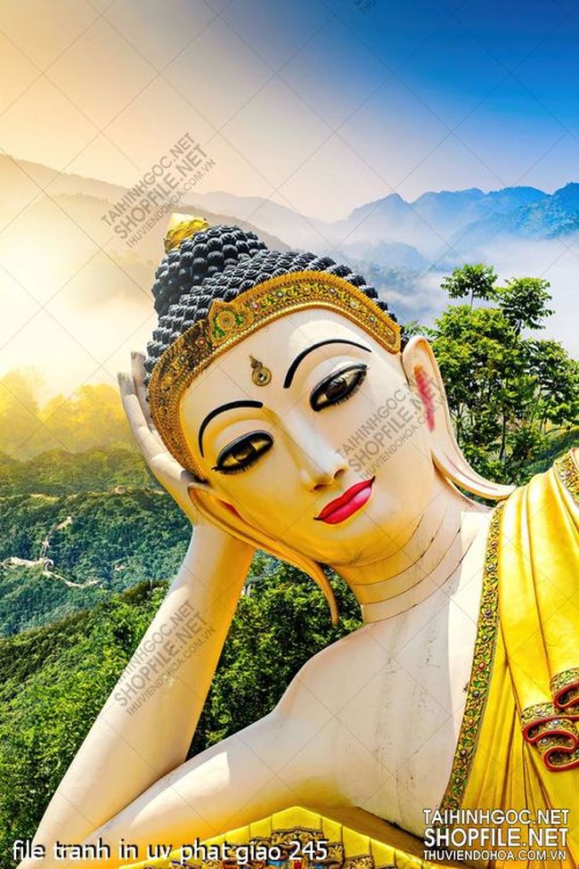 file tranh in uv phat giao 245