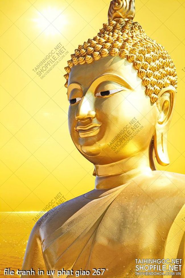 file tranh in uv phat giao 267 