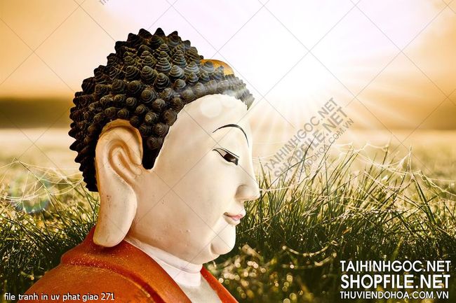 file tranh in uv phat giao 271