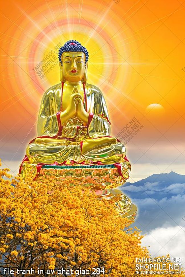 file tranh in uv phat giao 284