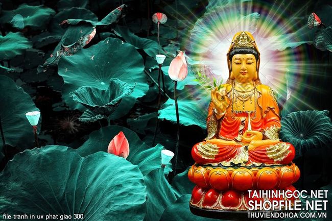 file tranh in uv phat giao 300