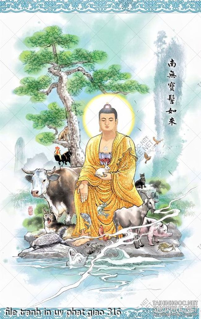 file tranh in uv phat giao 316