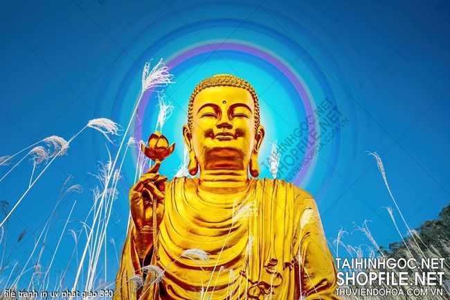 file tranh in uv phat giao 340
