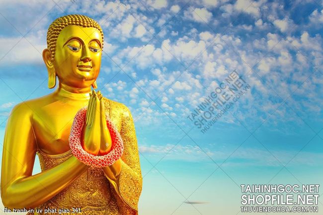 file tranh in uv phat giao 341
