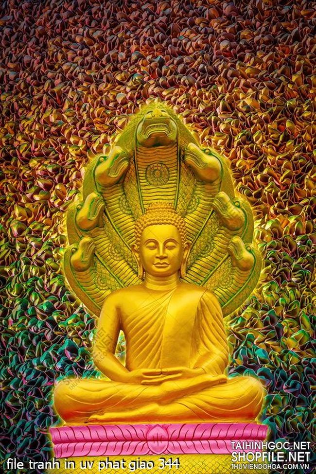 file tranh in uv phat giao 344 