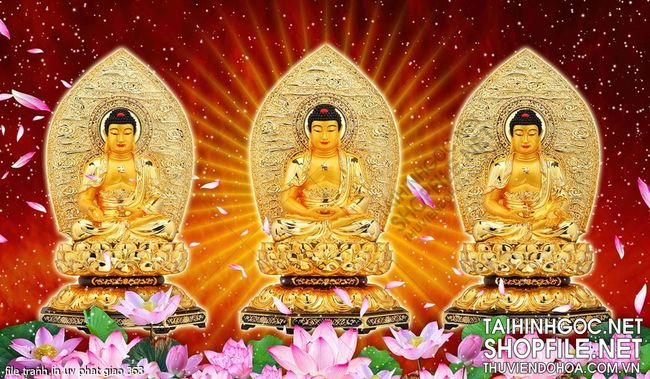 file tranh in uv phat giao 363