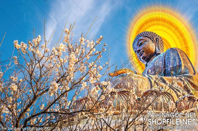 file tranh in uv phat giao 390