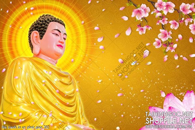 file tranh in uv phat giao 392