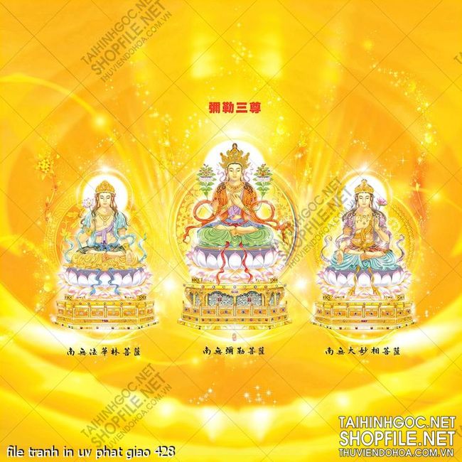 file tranh in uv phat giao 428