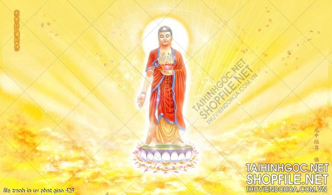 file tranh in uv phat giao 429