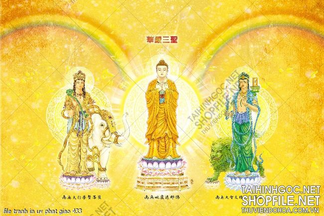 file tranh in uv phat giao 433
