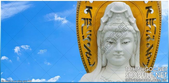 file tranh in uv phat giao 516