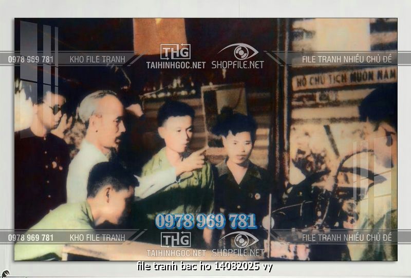 file tranh bac ho 14082025 vy