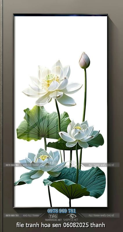 file tranh hoa sen 06082025 thanh