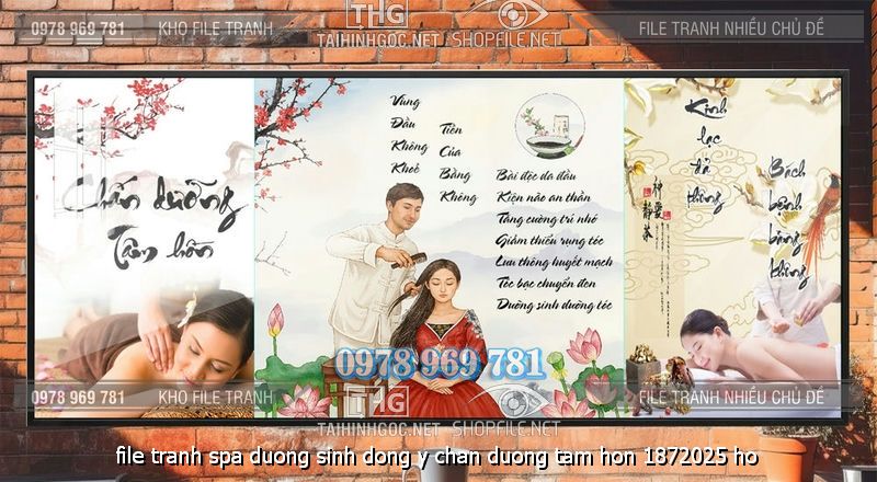 file tranh spa duong sinh dong y chan duong tam hon 1872025 ho