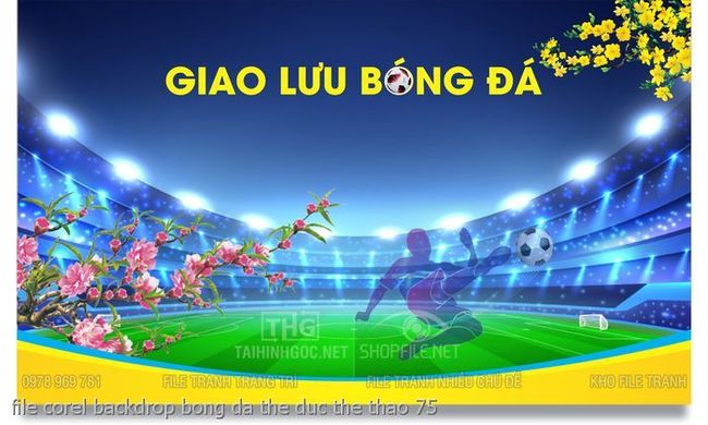 file corel backdrop bong da the duc the thao 75