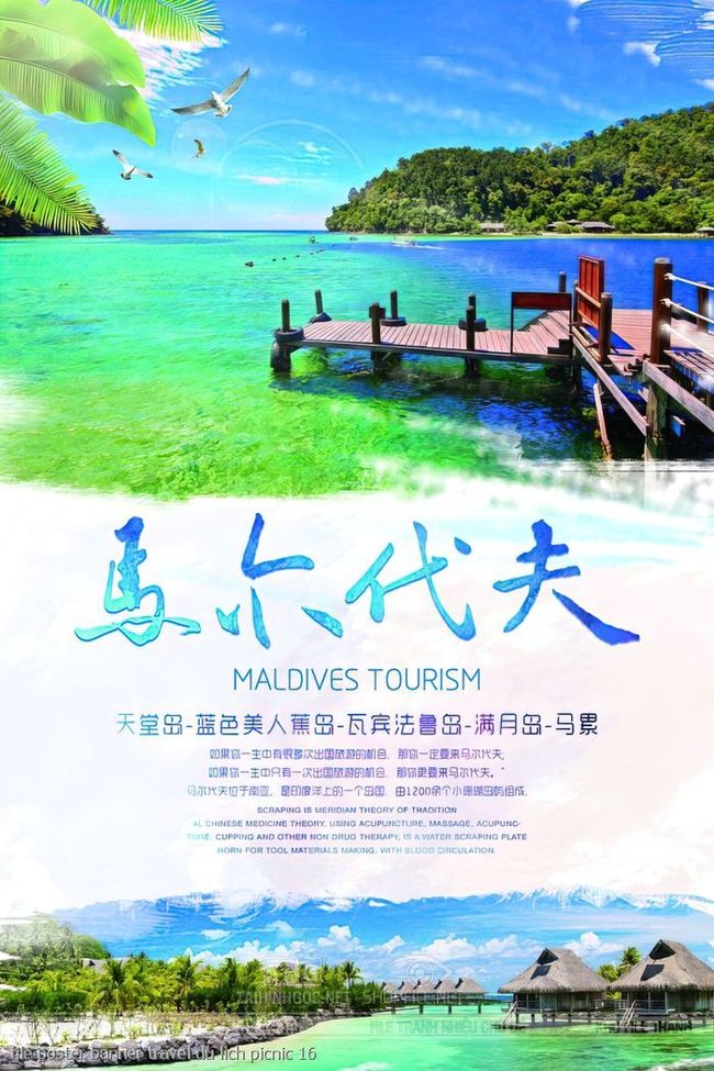 file poster banner travel du lich picnic 16