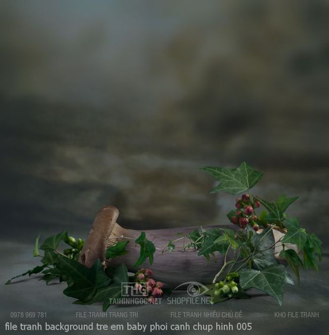 file tranh background tre em baby phoi canh chup hinh 005