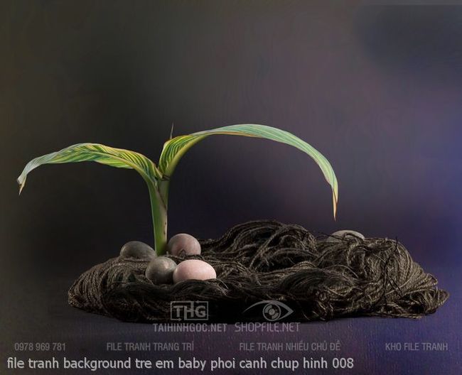 file tranh background tre em baby phoi canh chup hinh 008
