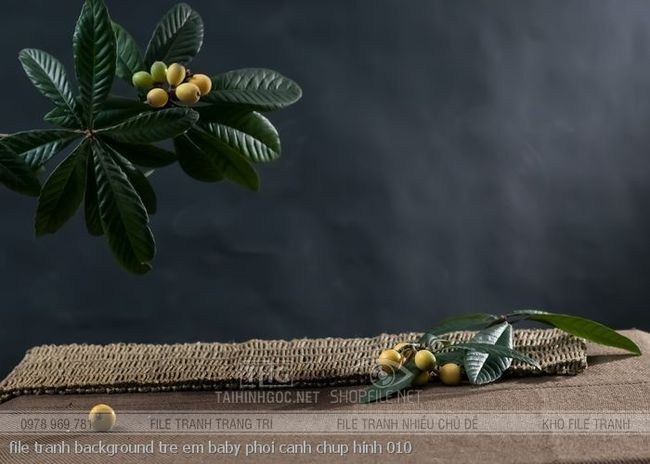 file tranh background tre em baby phoi canh chup hinh 010