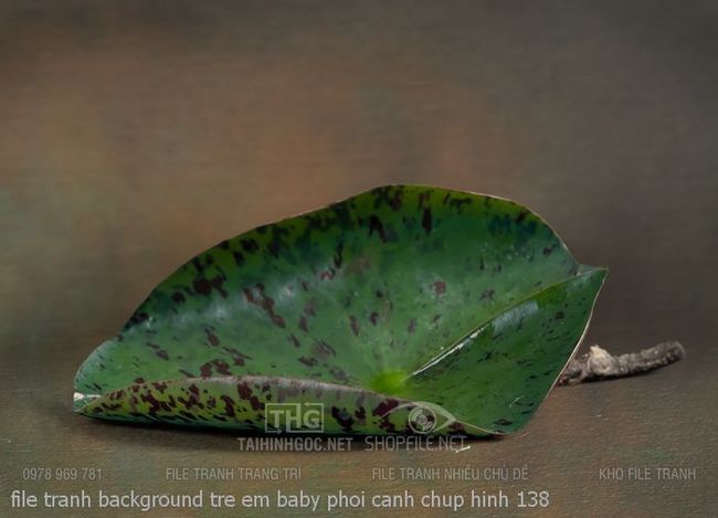 file tranh background tre em baby phoi canh chup hinh 138