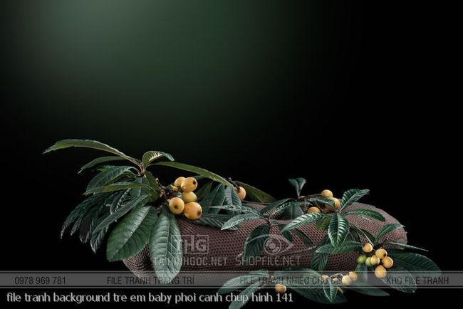 file tranh background tre em baby phoi canh chup hinh 141
