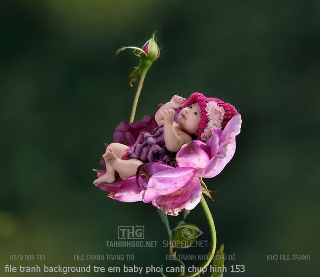 file tranh background tre em baby phoi canh chup hinh 153