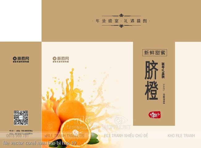 file vector corel mau bao bi hop 19