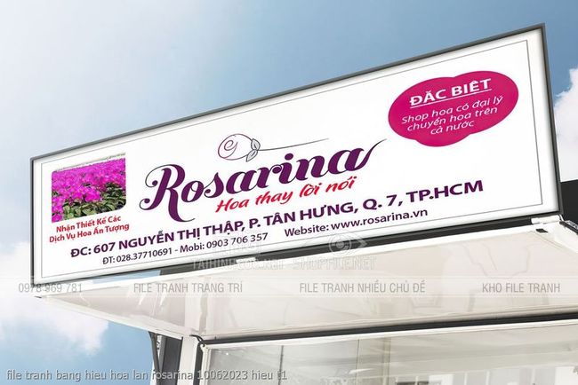 file tranh bang hieu hoa lan rosarina 10062023 hieu t1
