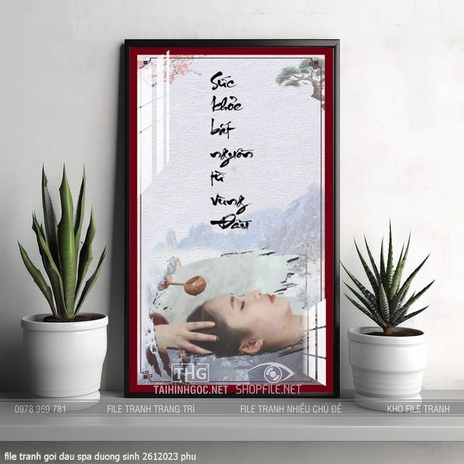 file tranh goi dau spa duong sinh 2612023 phu