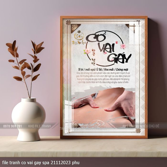 file tranh co vai gay spa 21112023 phu