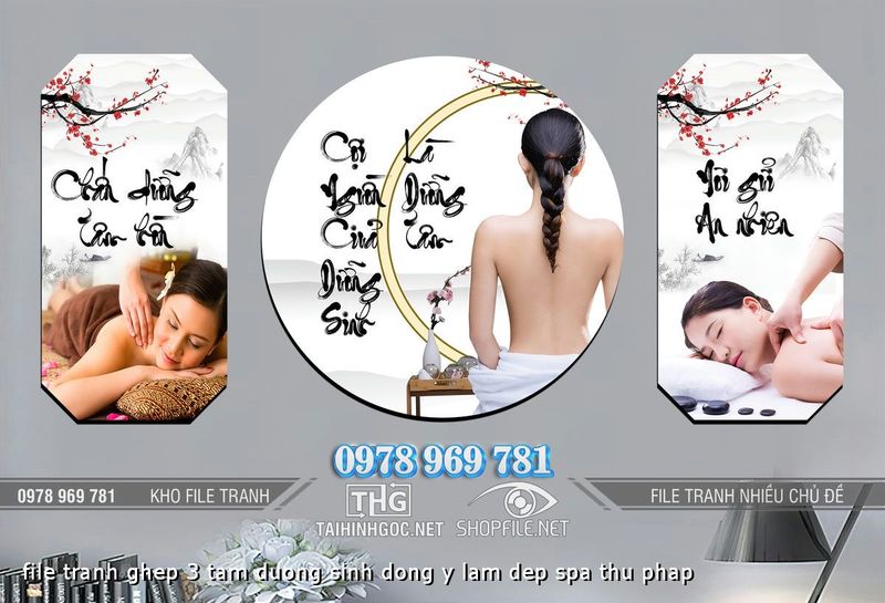 file tranh ghep 3 tam duong sinh dong y lam dep spa thu phap