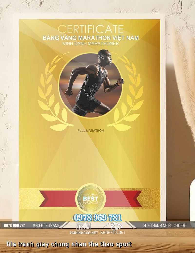 file tranh giay chung nhan the thao sport